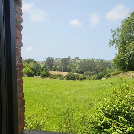 Los Taranos Inn 3*